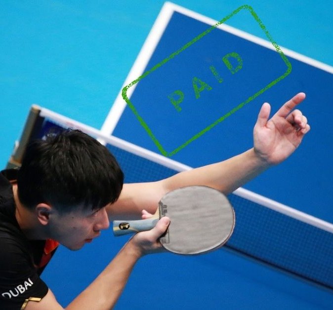 Highest-Paid Table Tennis Players