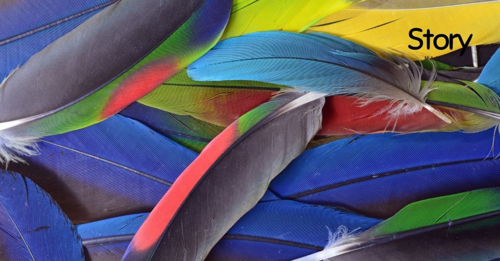 Parrot Feather Molting