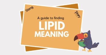 Lipid: From Science Lab to Slang, The Word That’s Gaining New Meaning on Social Media
