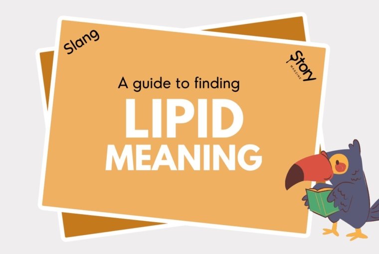 lipid slang meaning